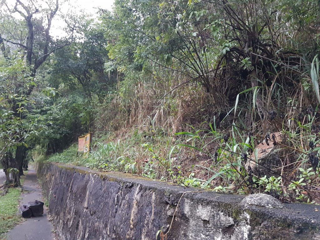 FOTO_3 - 3