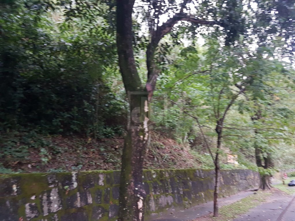 FOTO_4 - 4