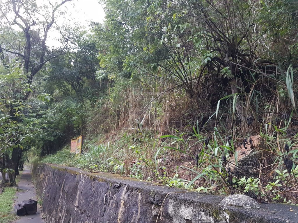 FOTO_5 - 5