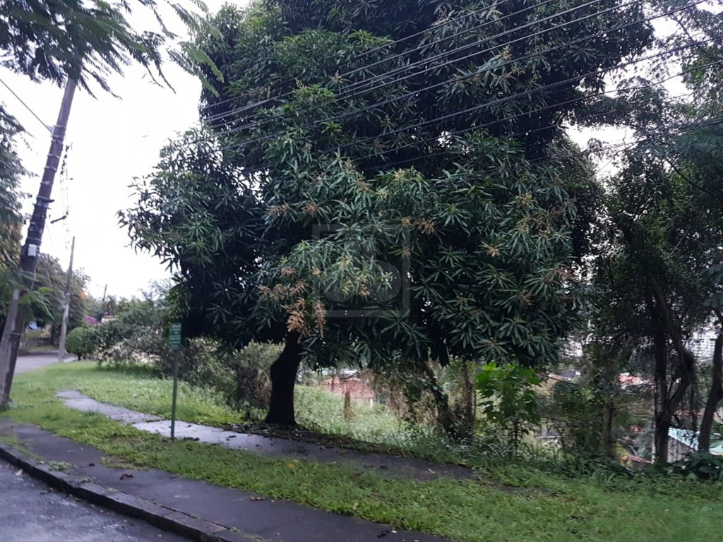FOTO_6 - 6