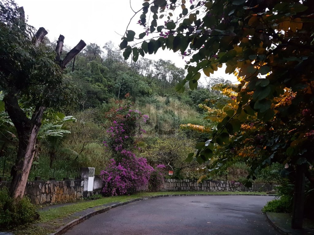 FOTO_7 - 7