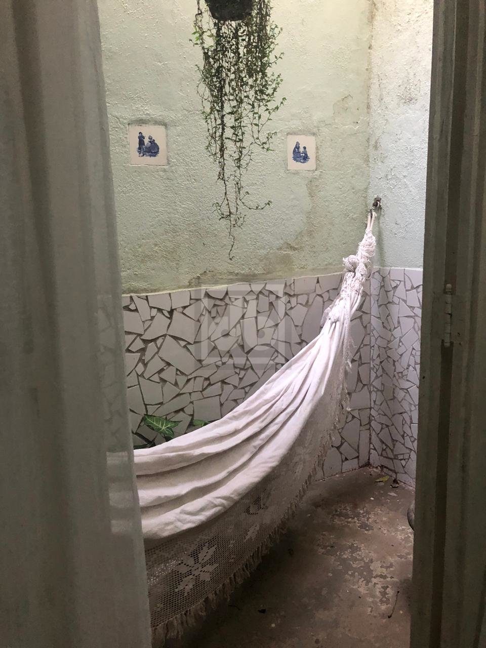 FOTO_12 - 12