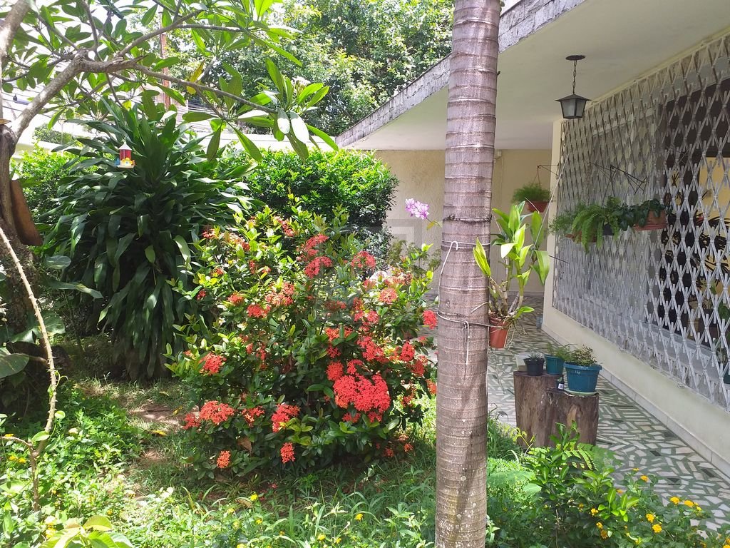 FOTO_2 - 5
