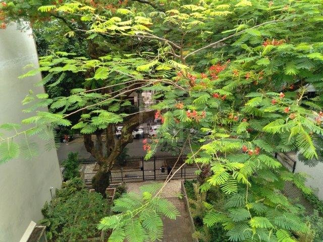 FOTO_3 - 3