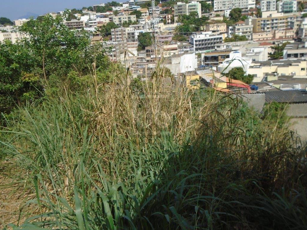 FOTO_11 - 11