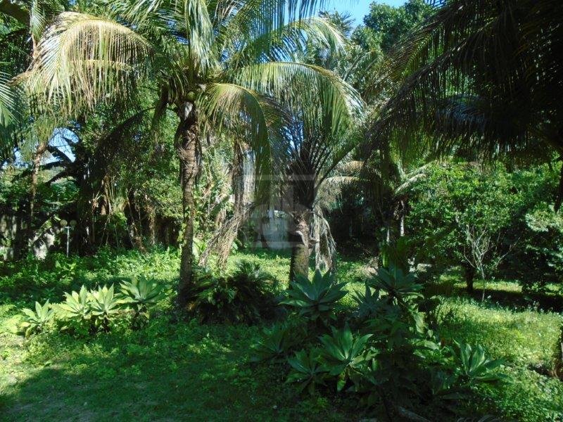 FOTO_13 - 13