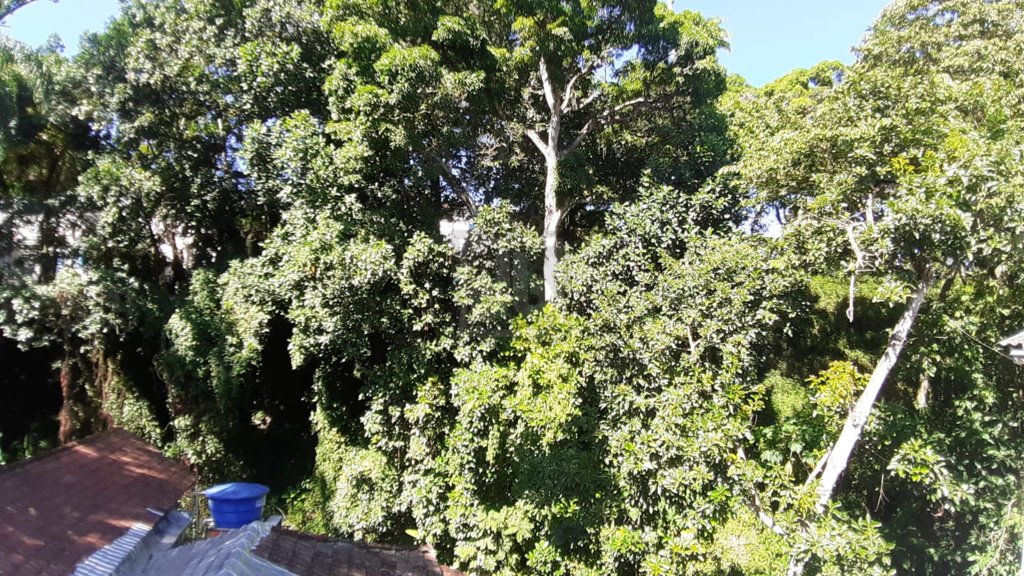 FOTO_20 - 20