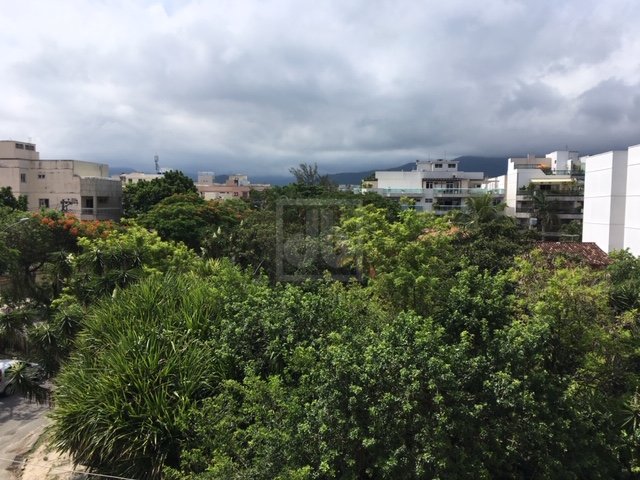 FOTO_19 - 19