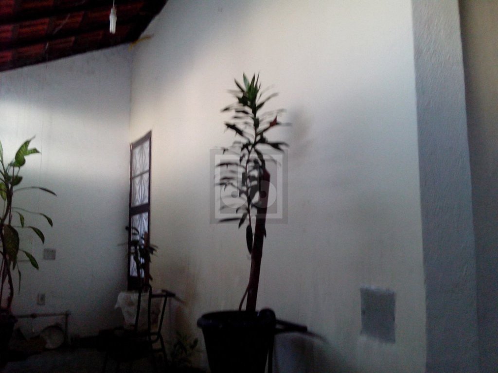 FOTO_14 - 14