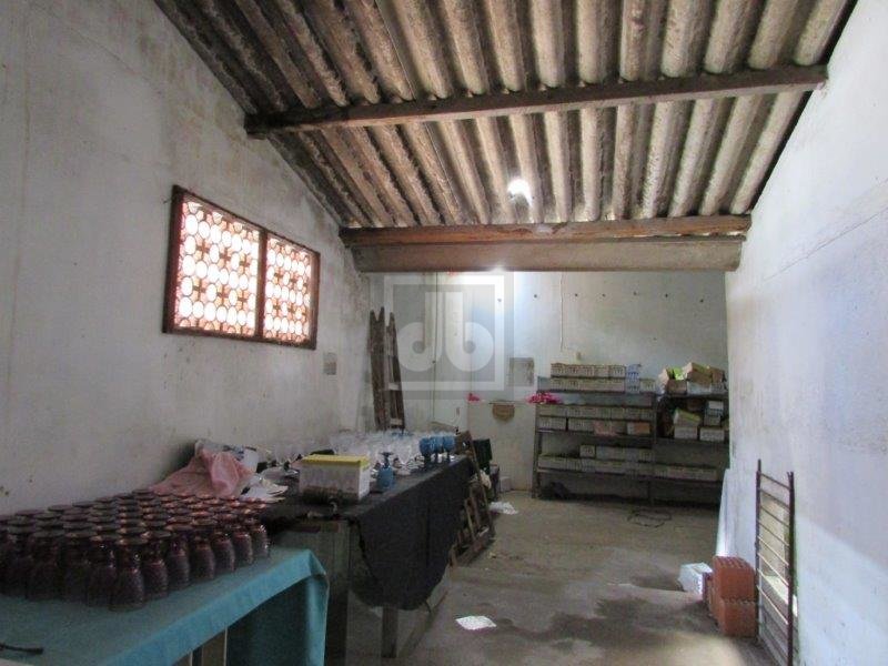 FOTO_16 - 16
