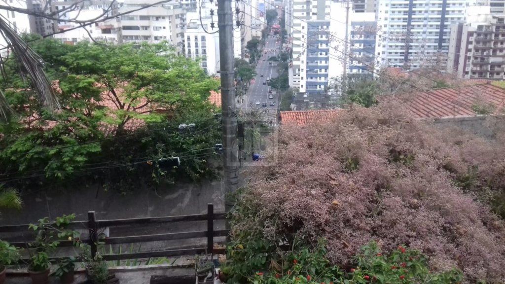 FOTO_17 - 17