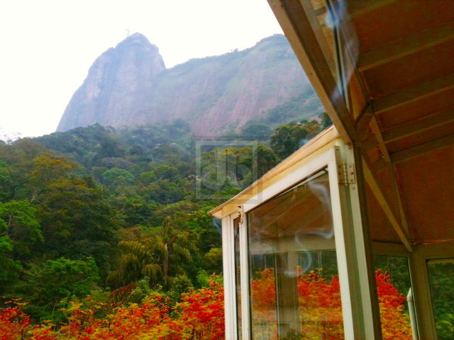 FOTO_1 - 1