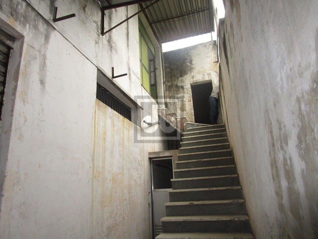 FOTO_10 - 9
