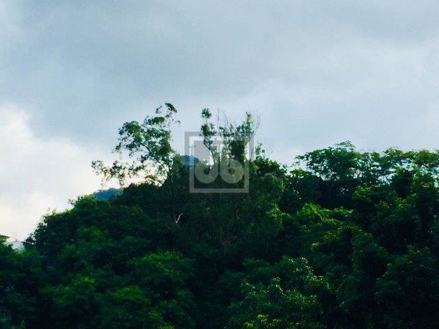 FOTO_1 - 1