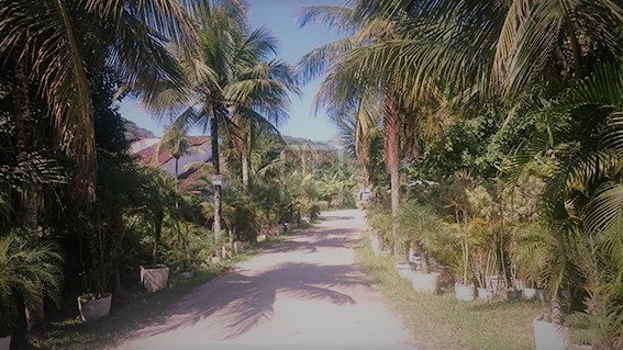 FOTO_18 - 18