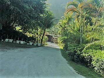 FOTO_20 - 20