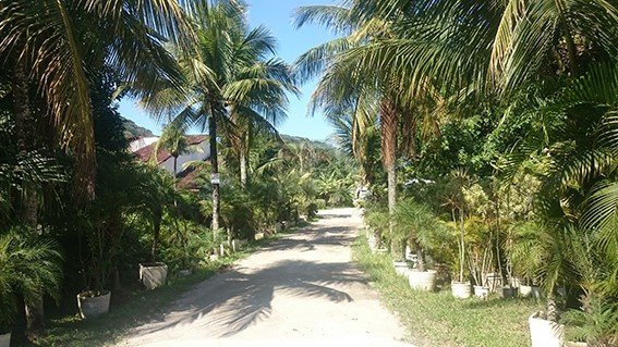 FOTO_9 - 10