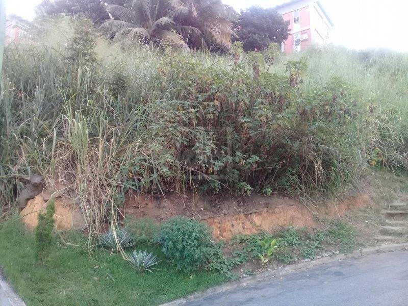 FOTO_2 - 1