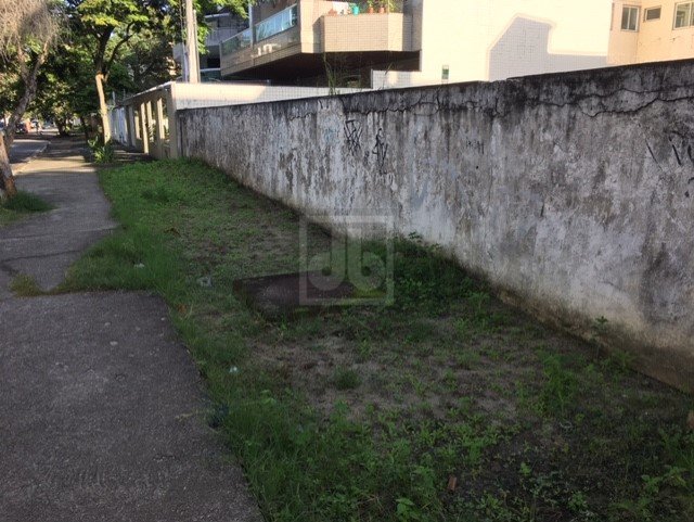 FOTO_15 - 15