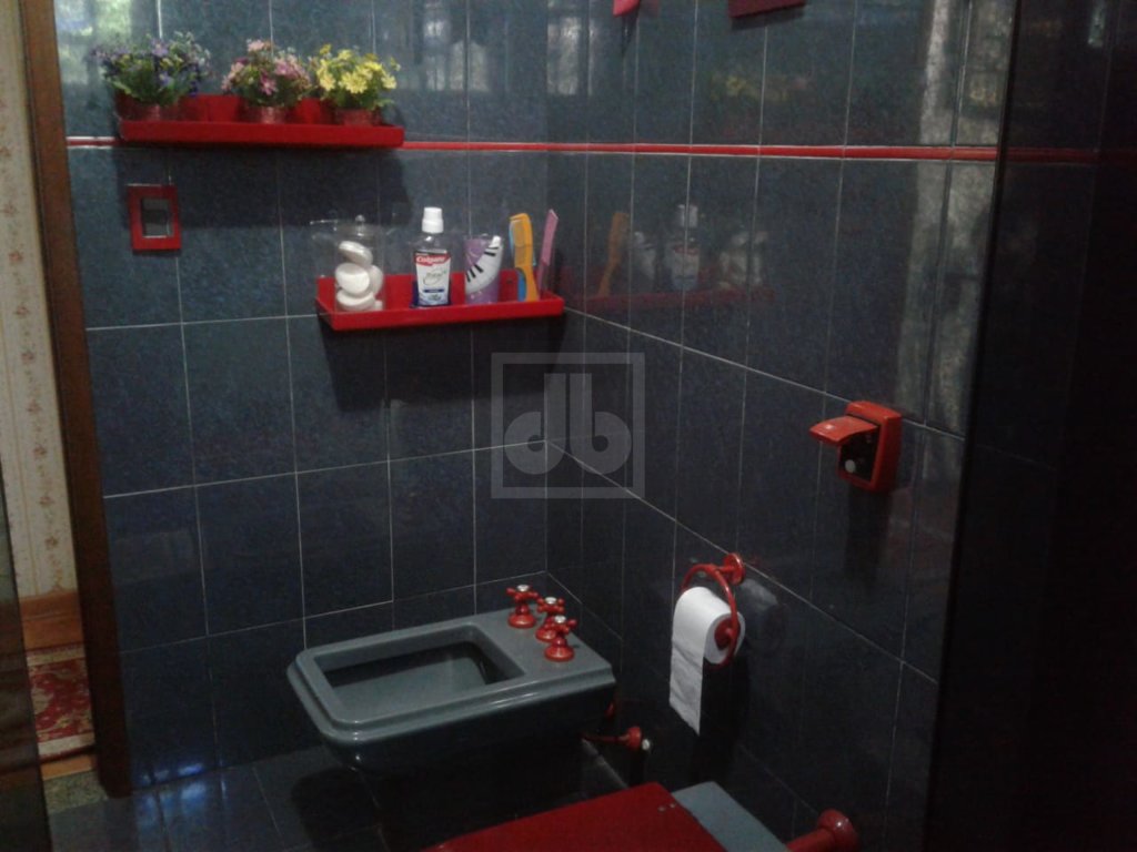 FOTO_12 - 12