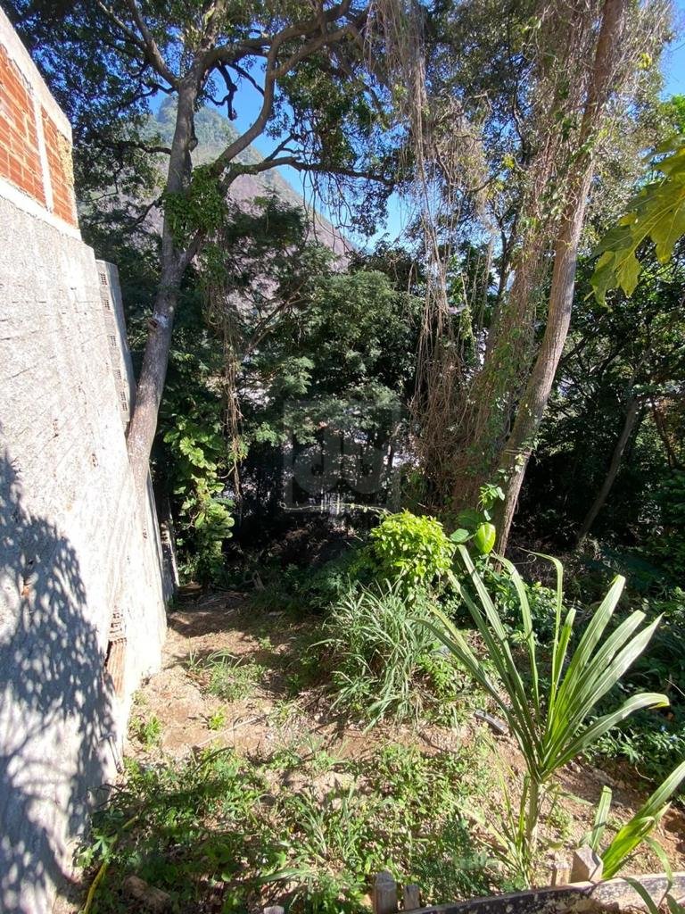 FOTO_6 - 6