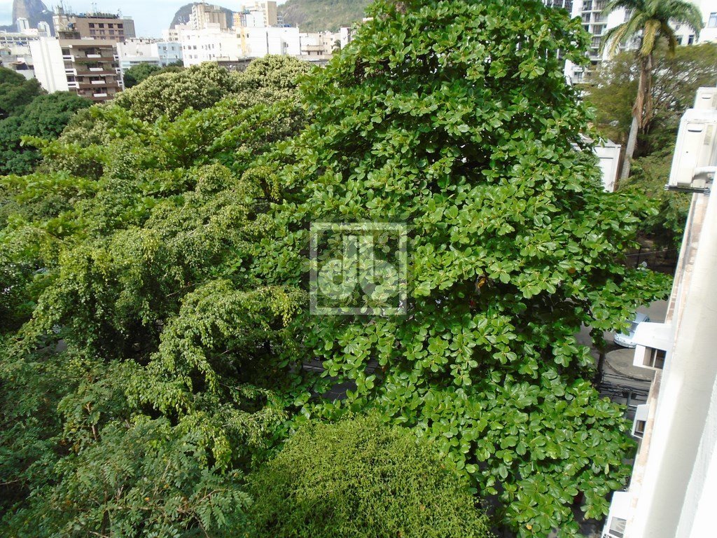 FOTO_1 - 1