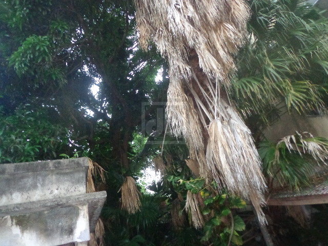 FOTO_6 - 6