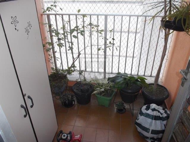 FOTO_7 - 7