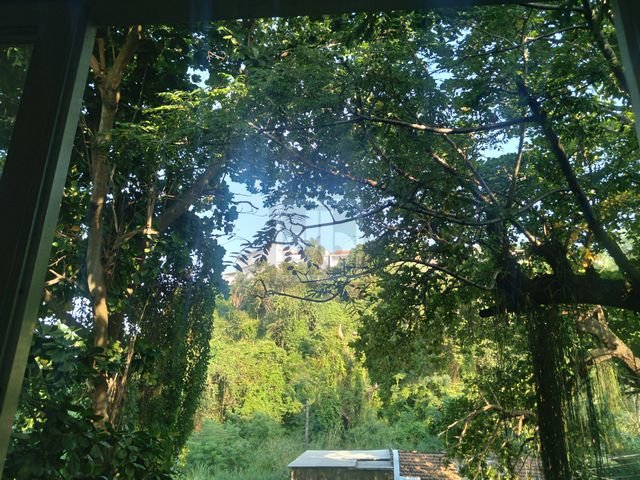 FOTO_20 - 20