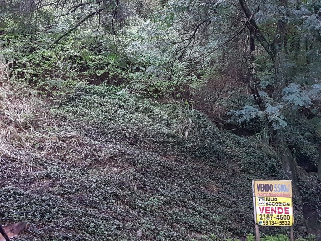 FOTO_1 - 1