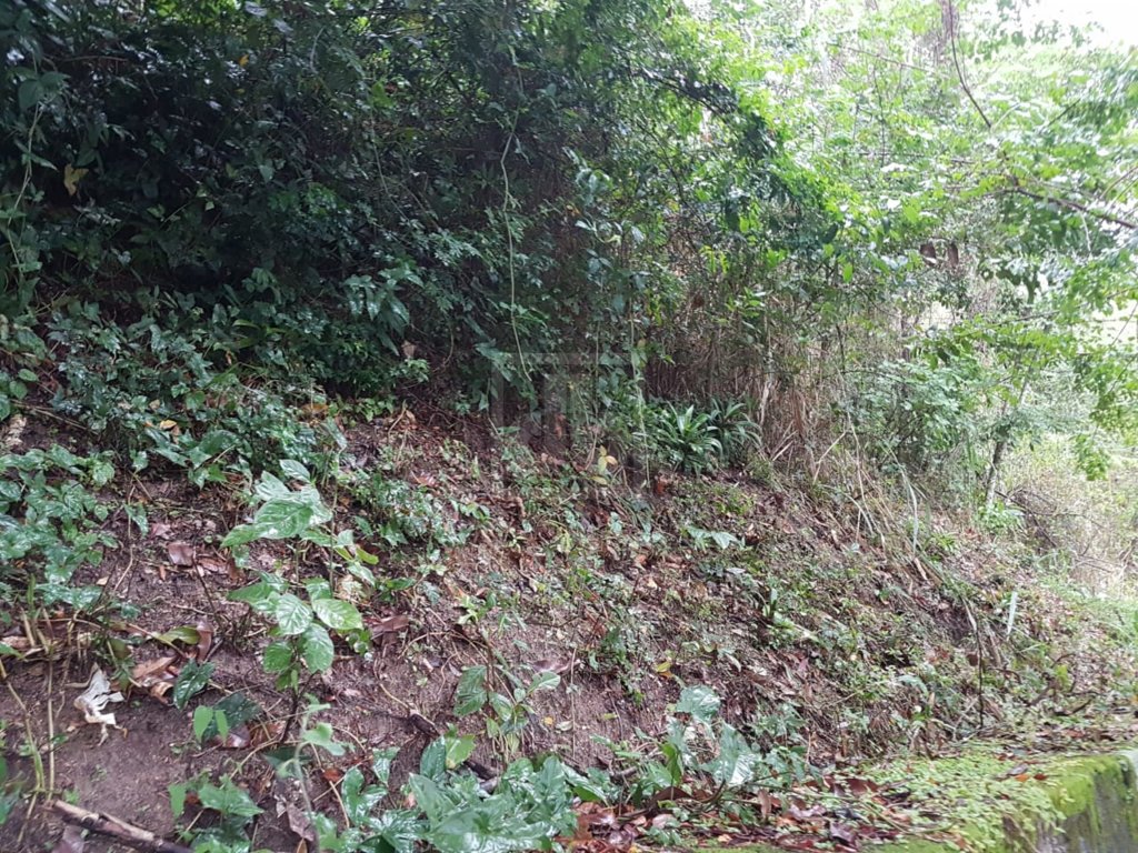 FOTO_2 - 2