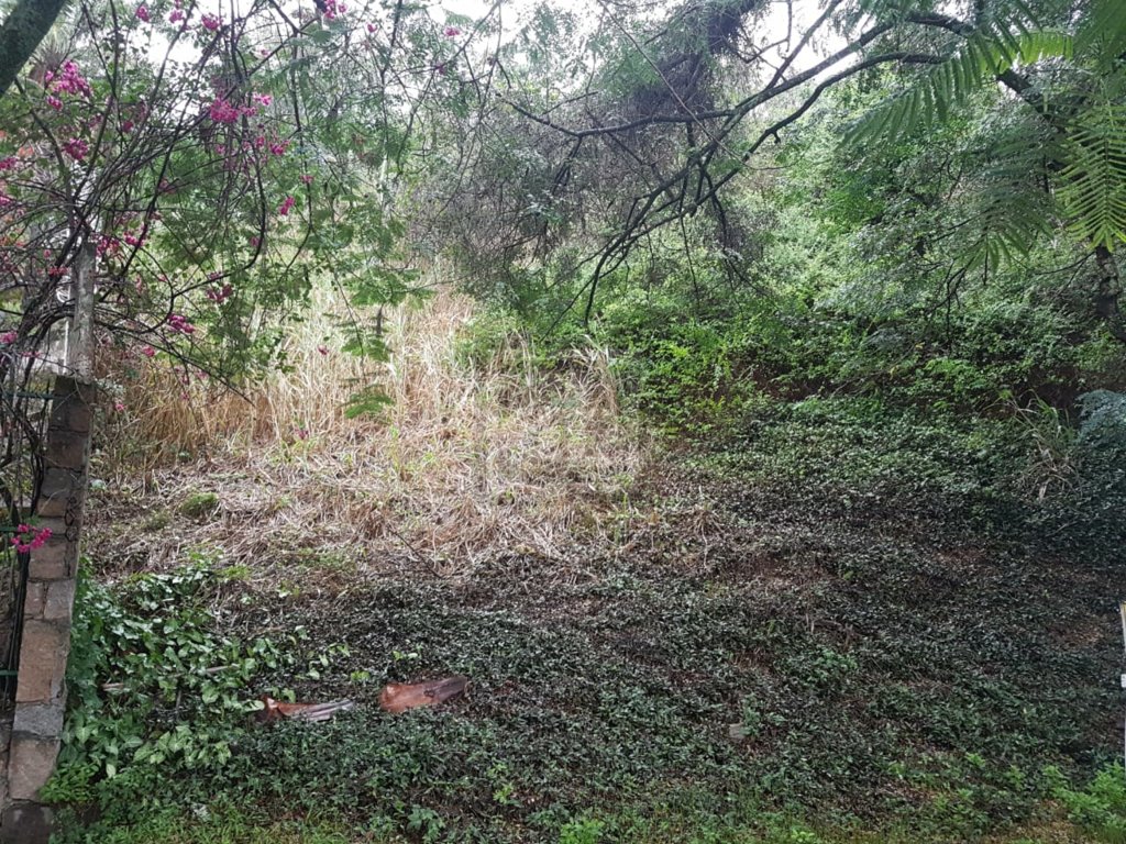 FOTO_6 - 6