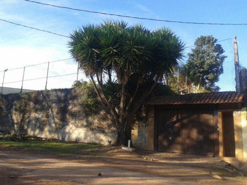 FOTO_9 - 9
