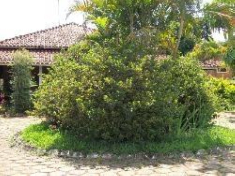 FOTO_15 - 15