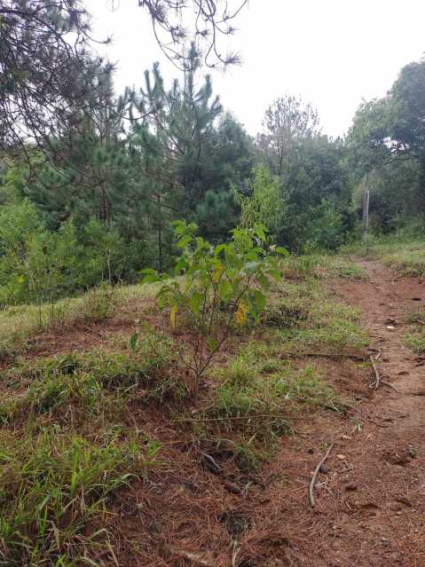 WhatsApp Image 2022-07-01 at 1 - 5