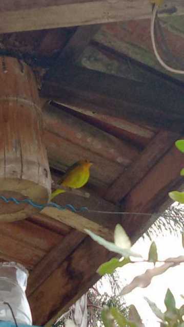 WhatsApp Image 2023-03-07 at 1 - 13