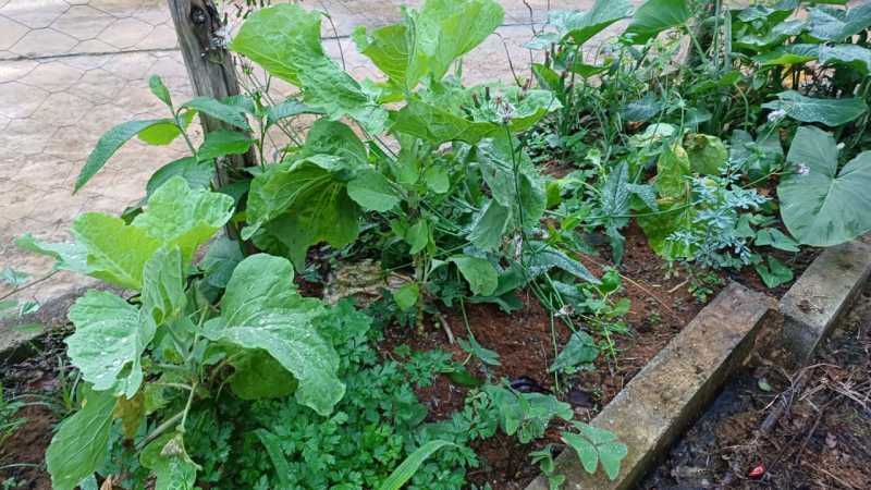 IMG-20250624-WA0141 - 4