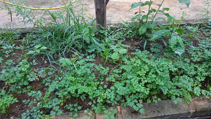 IMG-20250624-WA0146 - 8