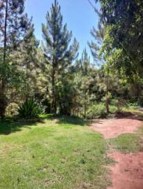 Sítio à venda Centro, Mar de Espanha - R$ 230.000 - REFV00136