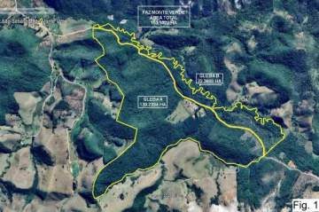 Fazenda em Lima Duarte com 163 Hectares - REFV00594