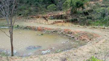 Rural à venda Paula Lima, Juiz de Fora - R$ 180.000 - REFV00196