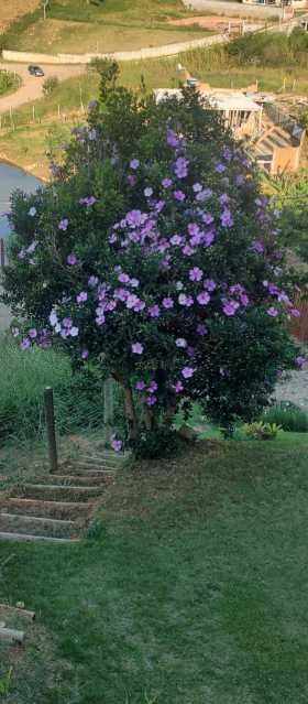 IMG-20250220-WA0003 - 3
