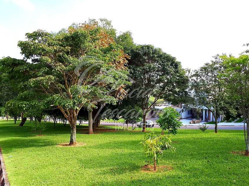 FOTO_4 - 5