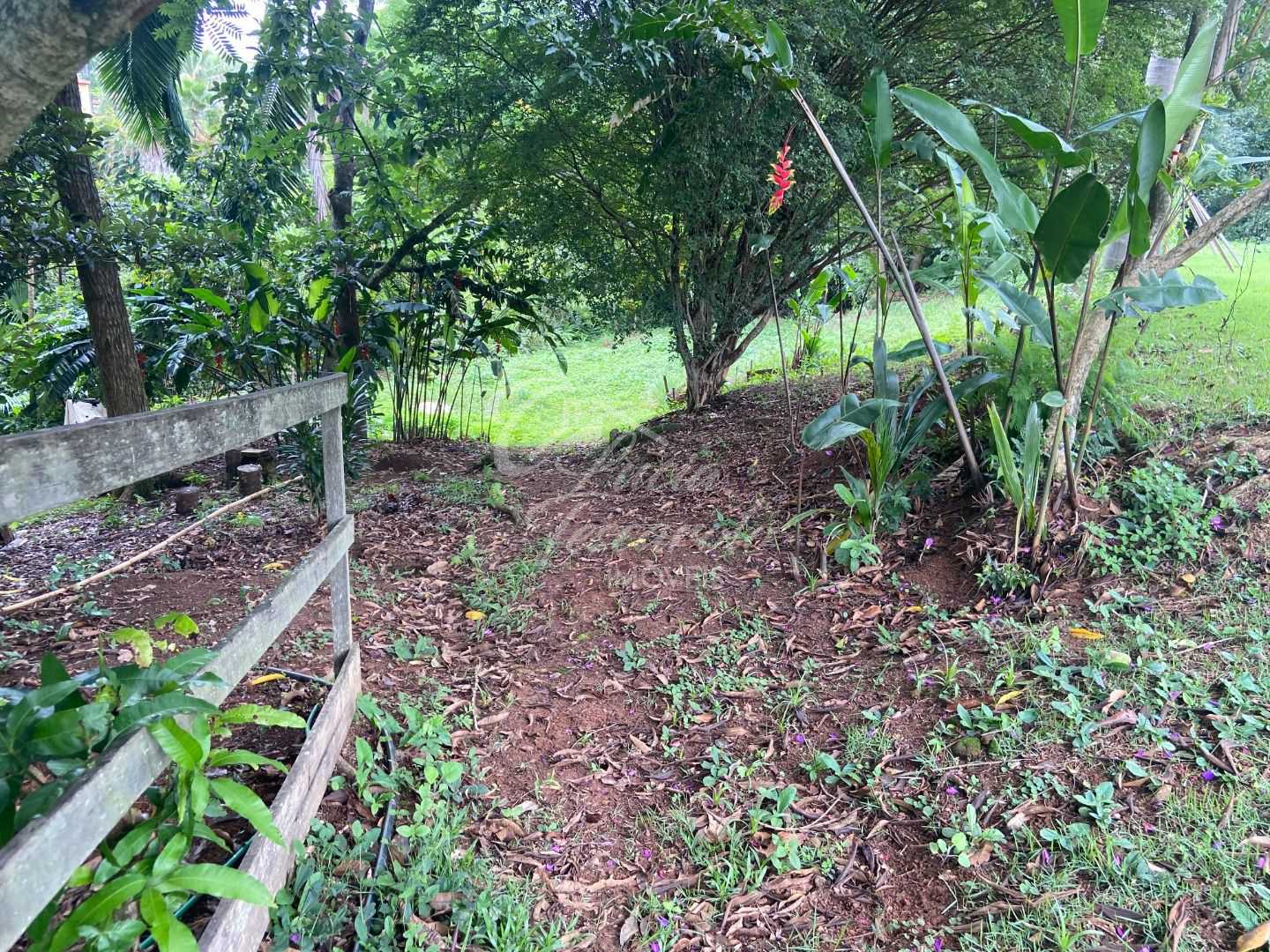 FOTO_10 - 11