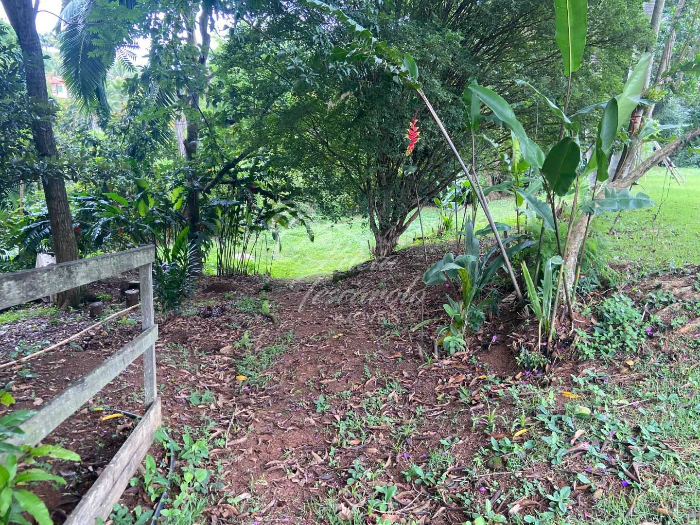FOTO_12 - 13