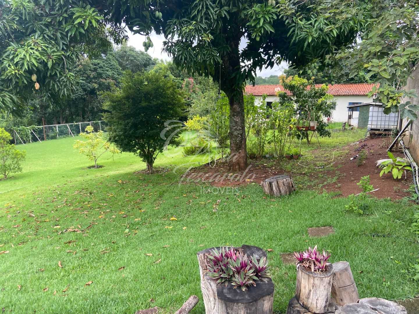 FOTO_2 - 3