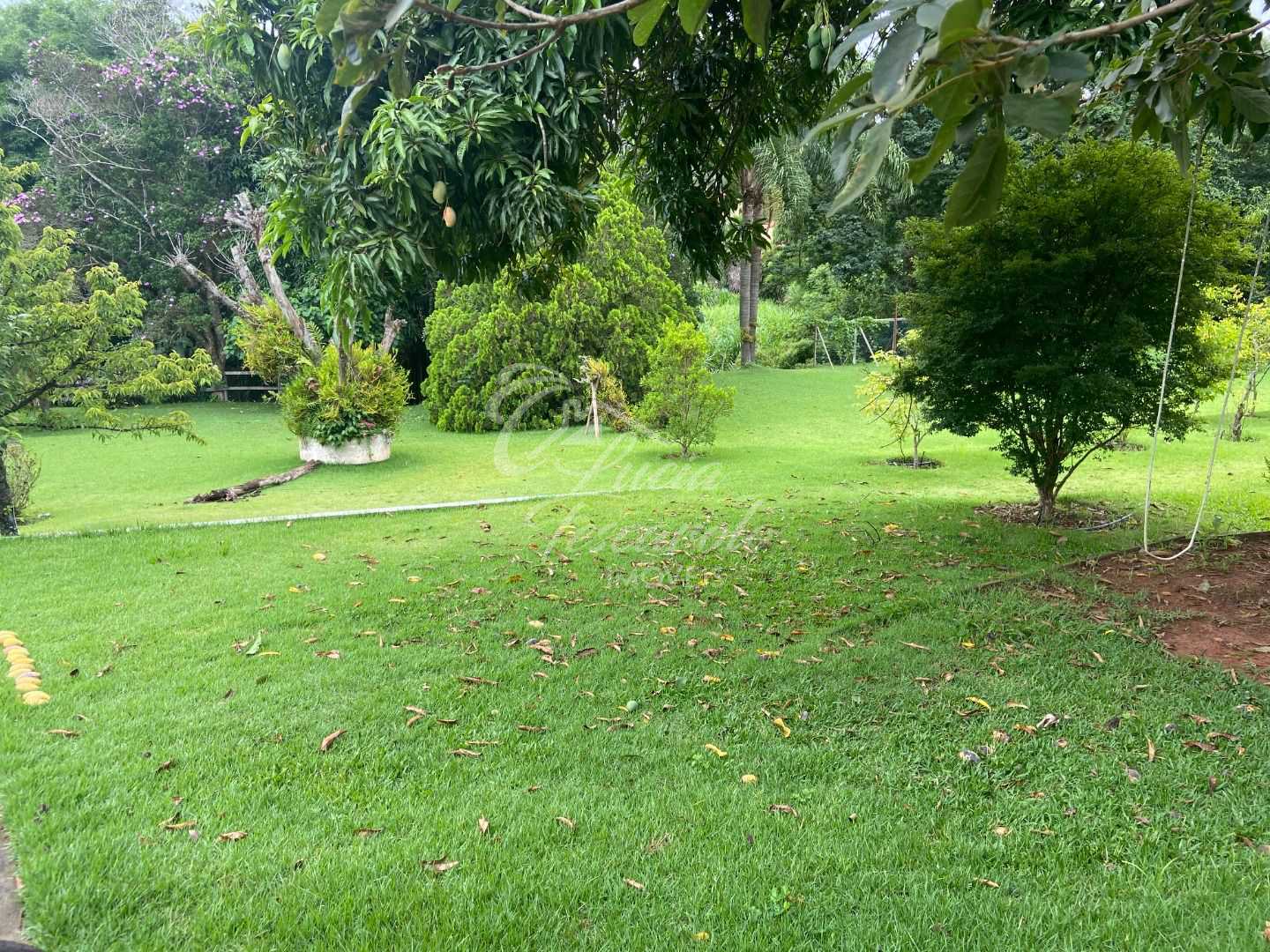 FOTO_4 - 5
