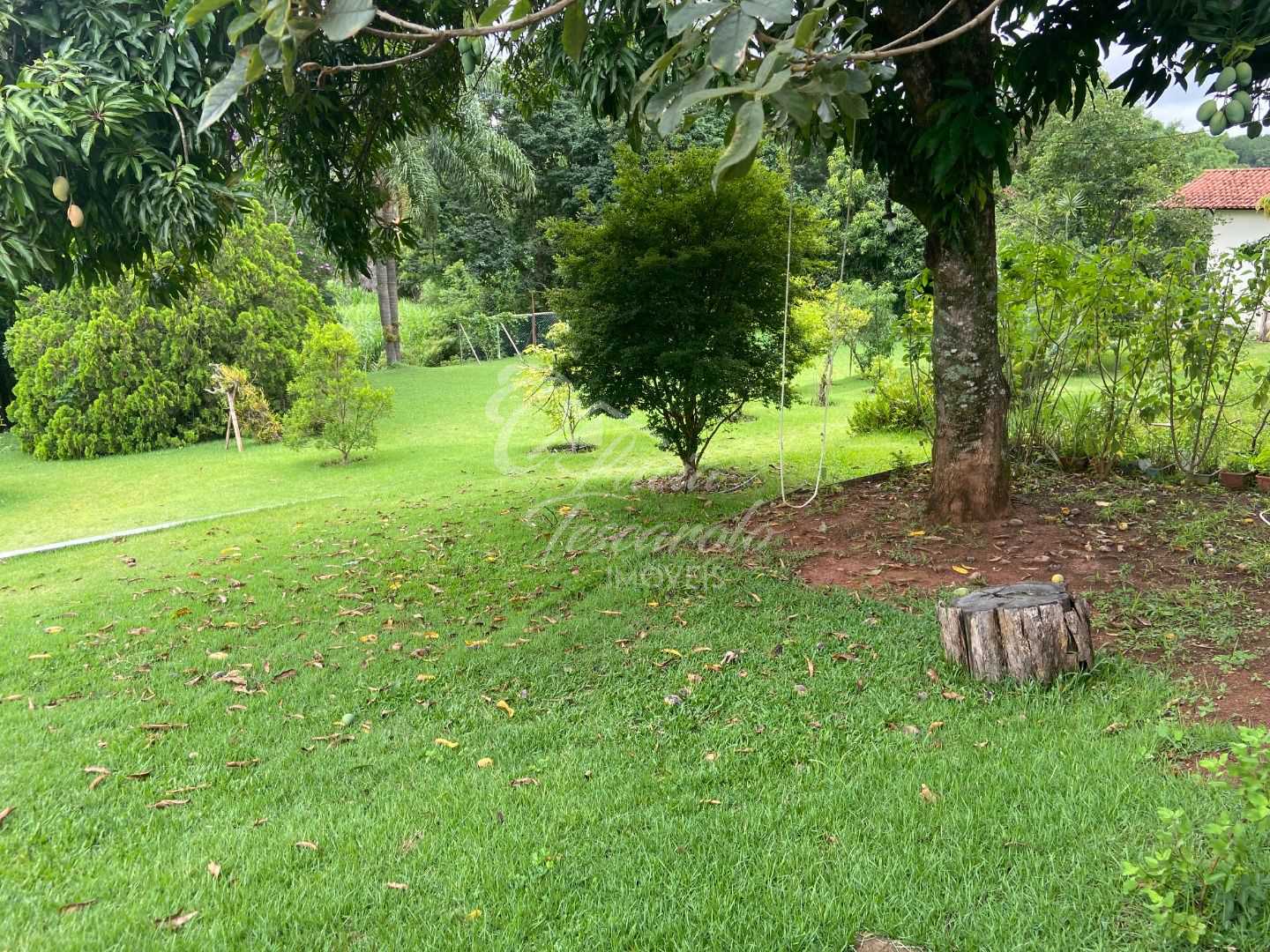 FOTO_5 - 6