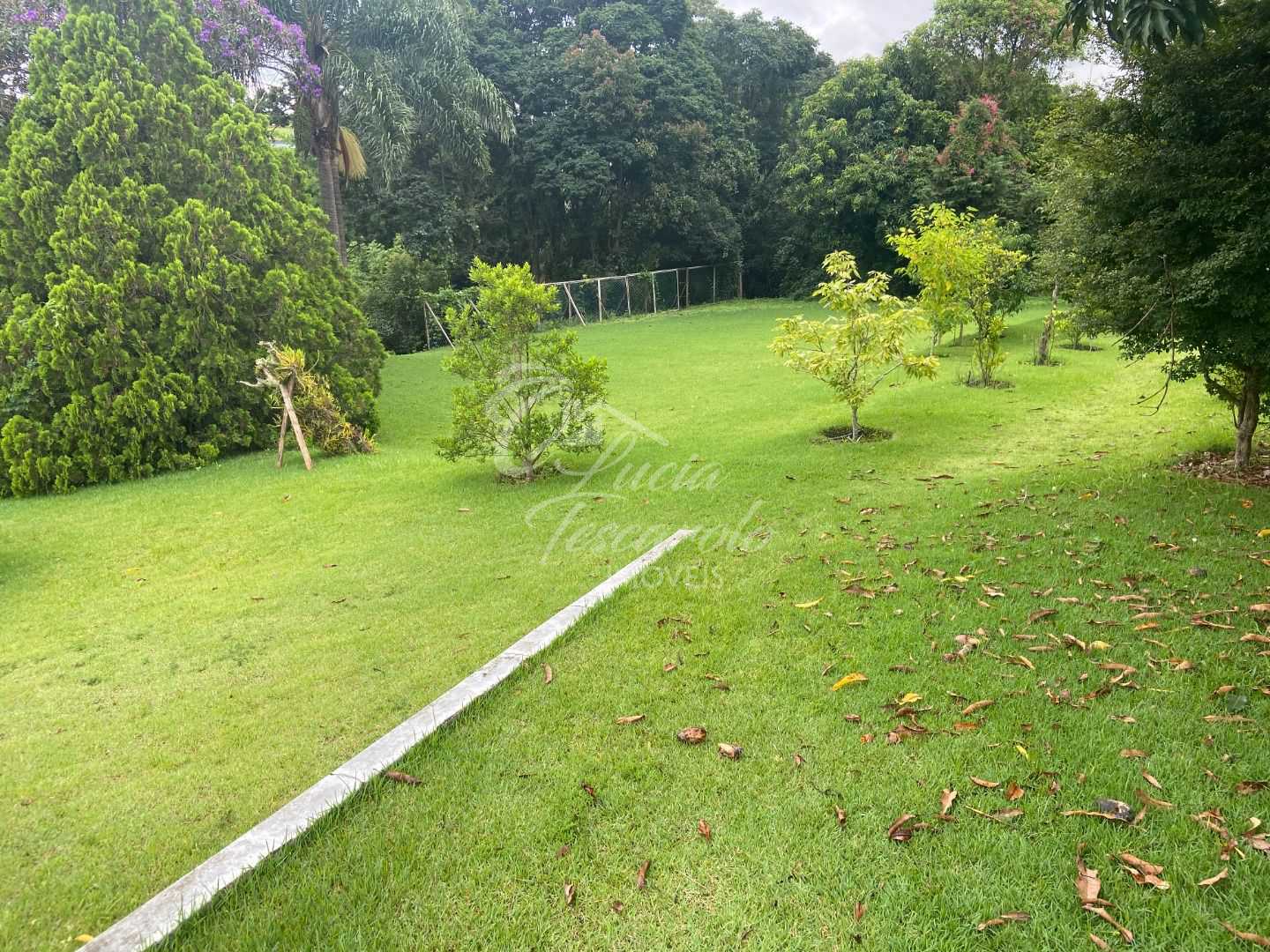 FOTO_6 - 7