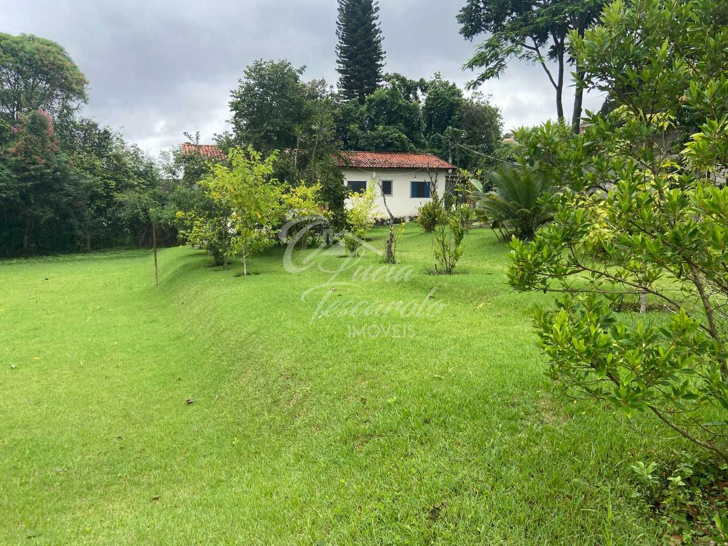 FOTO_9 - 10